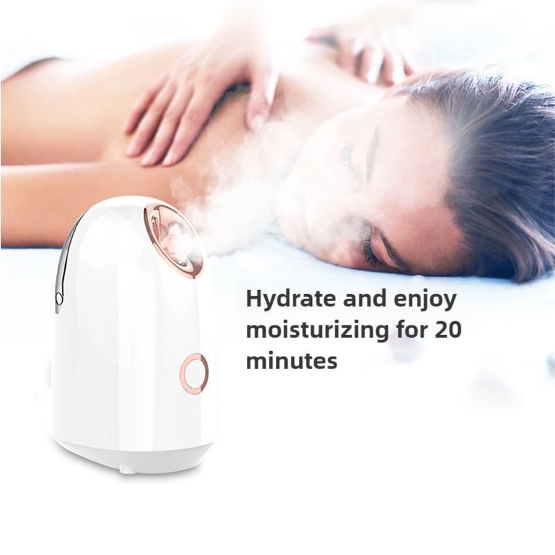 Hot Spray Steam Water Replenisher, 1 Set Including Facial Steamer & 1 Count Blackhead Instrument, Suitable for Household Face Humidifier