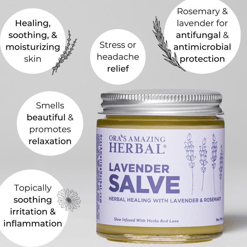 Lavender Herbal Body Salve, 4oz - Soothing & Moisturizing for Skin Healing